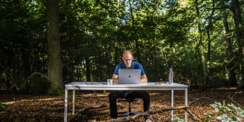 webapplicatie ontwikkelen